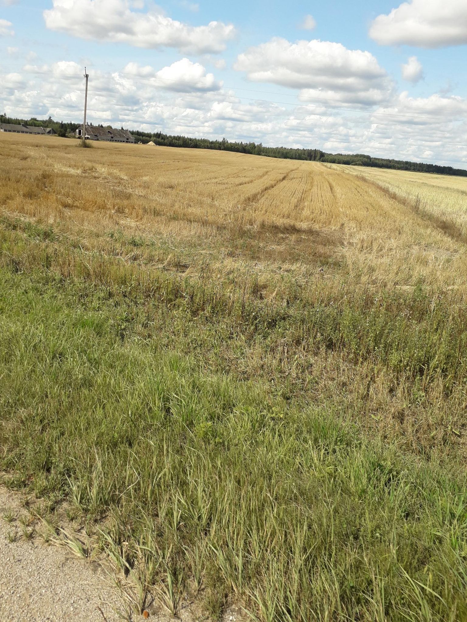 s15赛程-p6)?M鲟侍鯺暸H觽Id謪?湐]懓袸"赒RT牛f亀ボ嶼的简单介绍